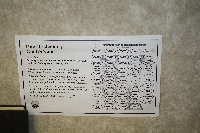 Back of Placemat - Click on Image to enlarge Back of Placemat - Click on Image to enlarge